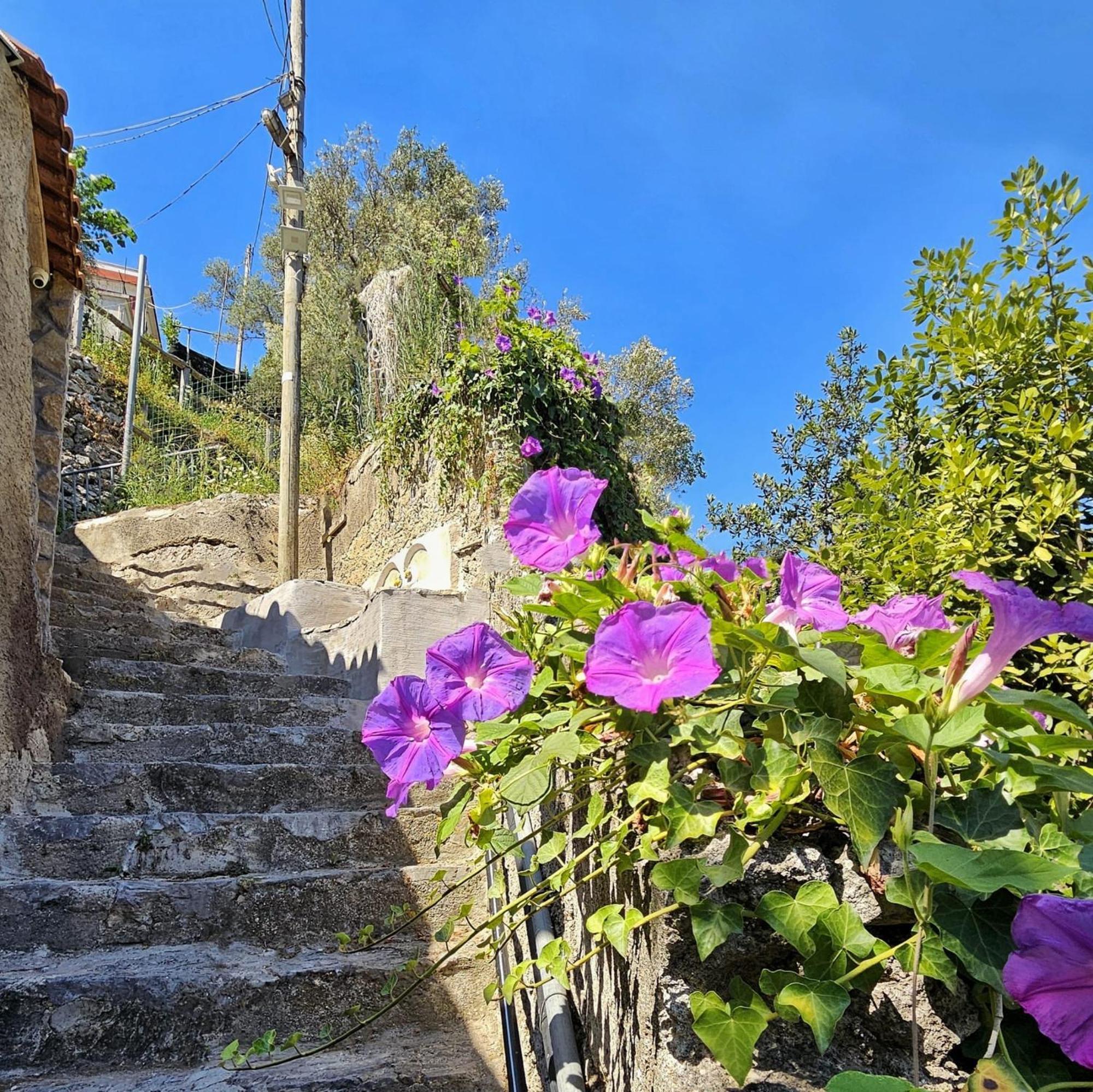 Villa Ines Maiori Exterior photo